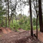 Makawao Forest Reserve Mountain Biking Trails
