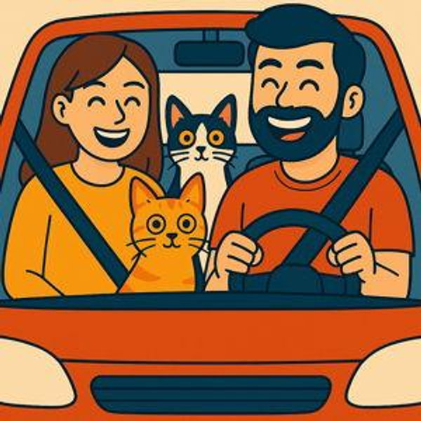 Help us to buy our first car