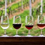 Numerous Wineries in the Area