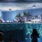 OdySea Aquarium