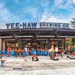 Yee-Haw Brewing Company