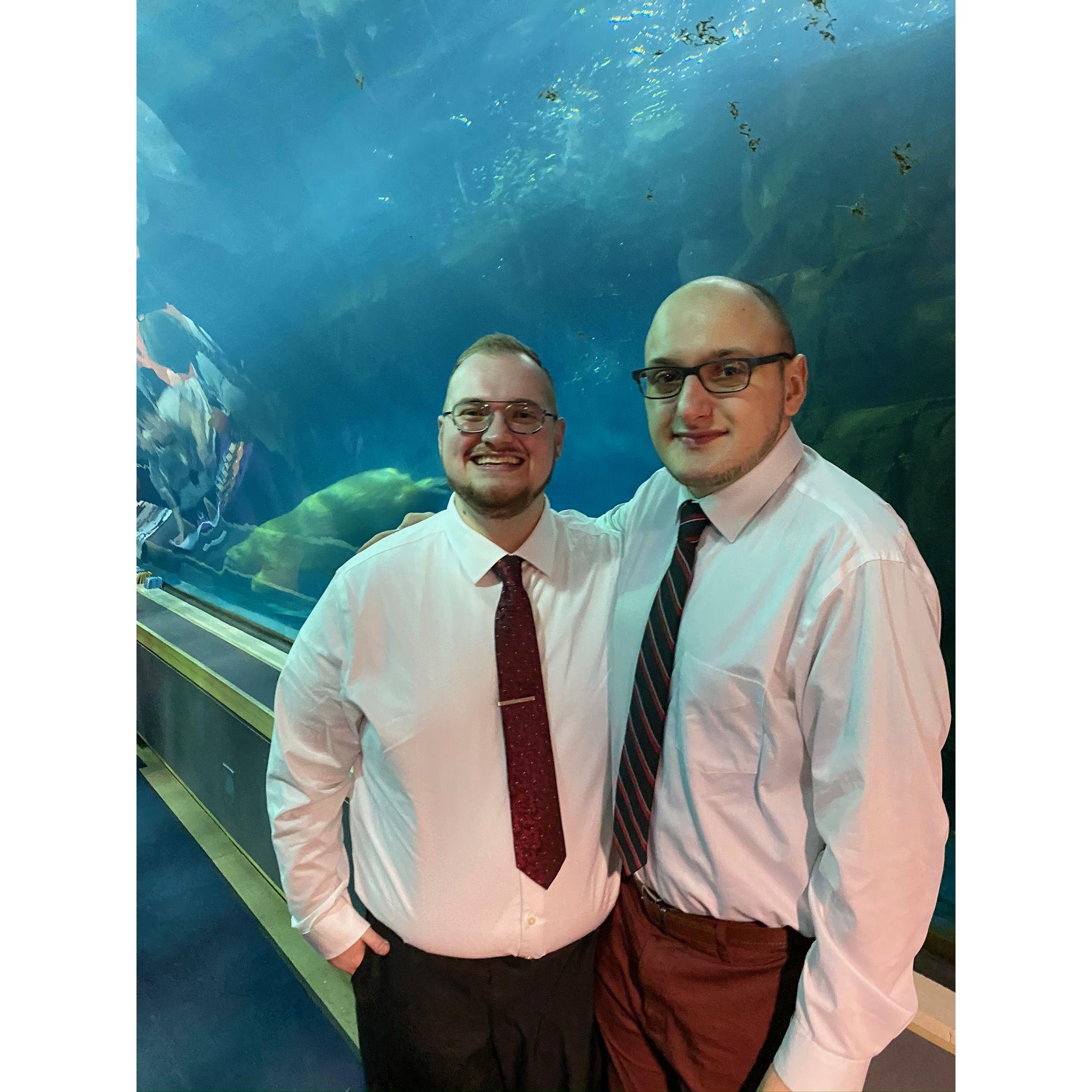 Valentines Day at PPG Aquarium- 2020