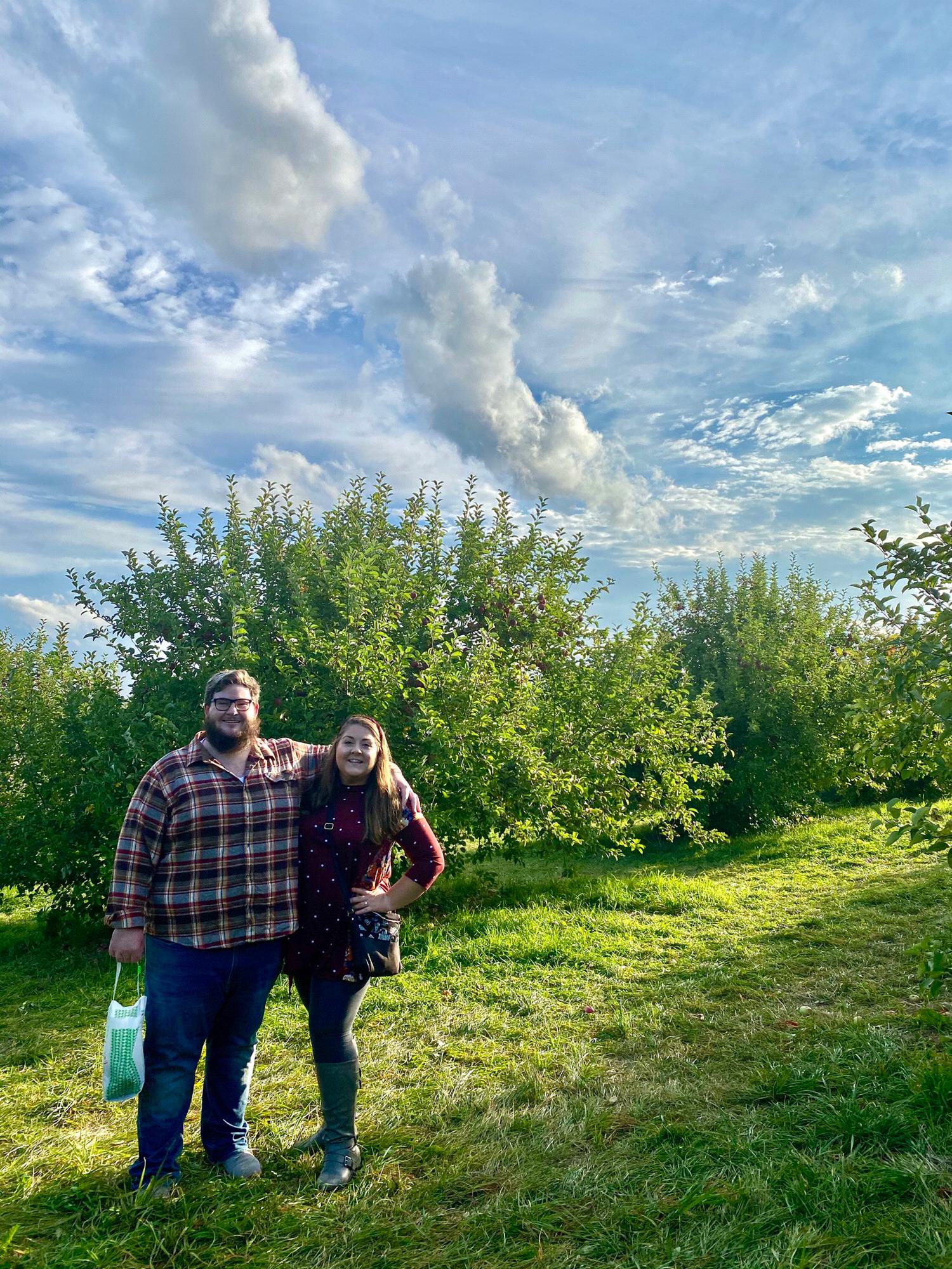 Apple picking year 6