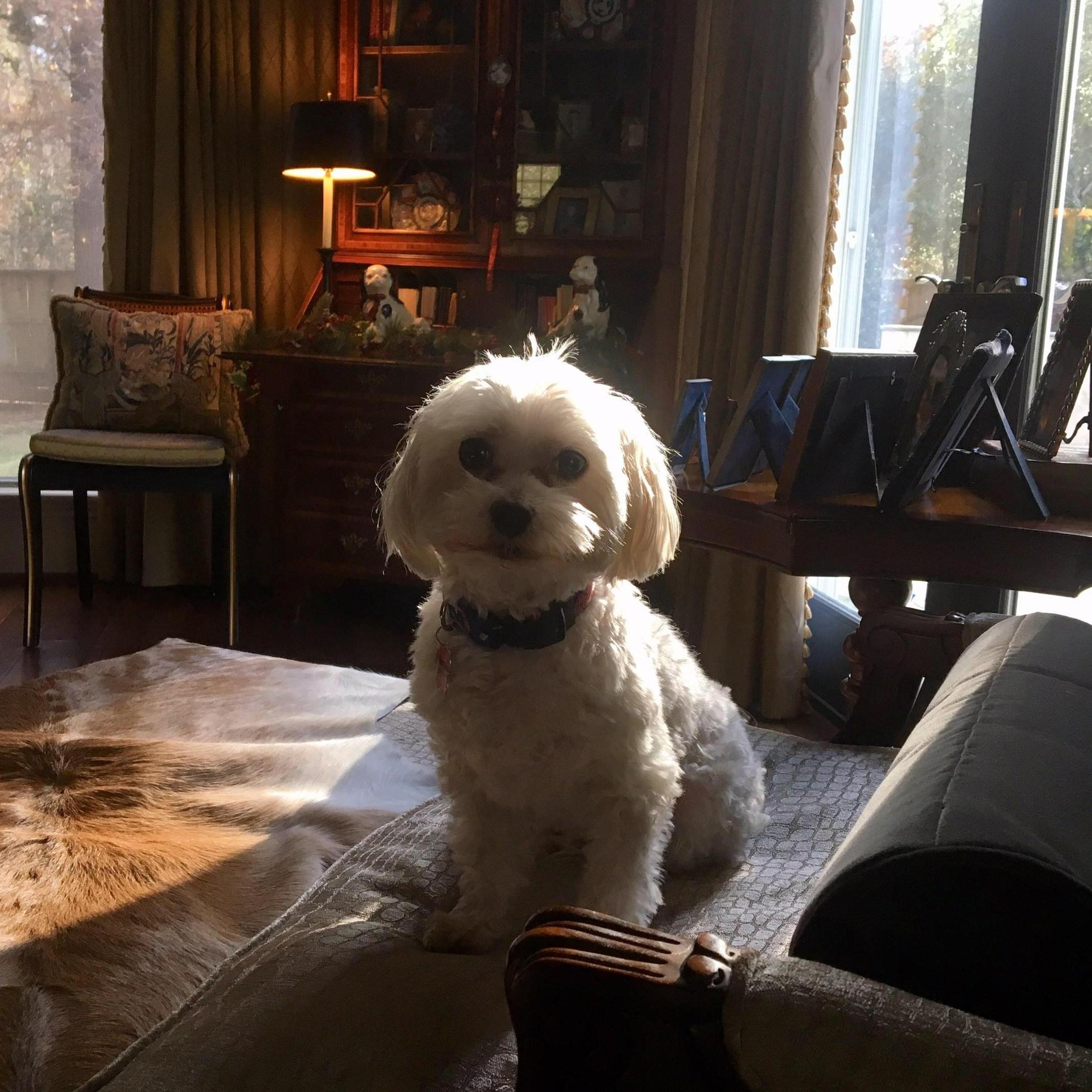 Our first love...Wilson