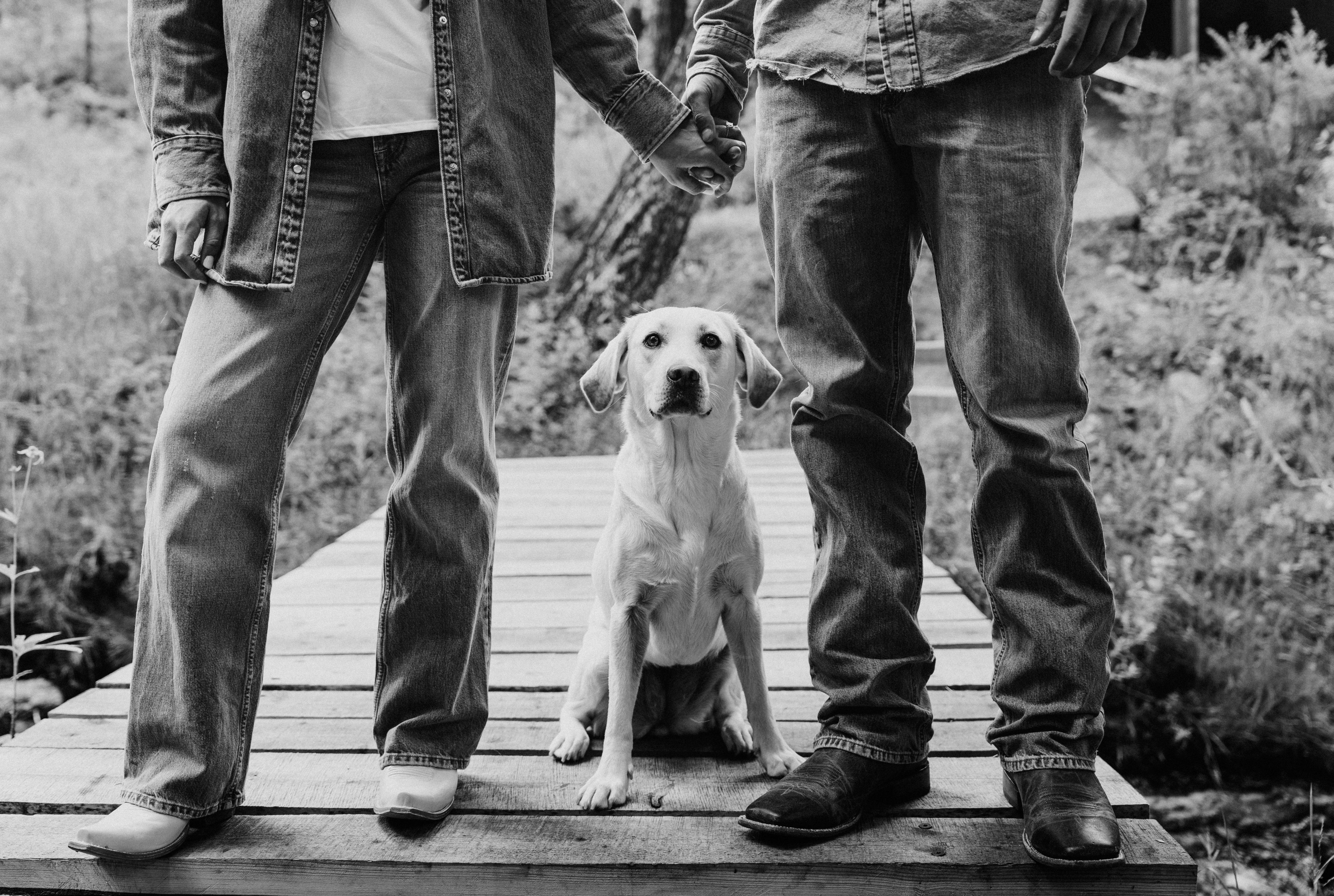 The Wedding Website of Taylan Rope and Jaxon Grogan