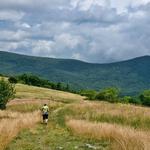 Cole Mountain