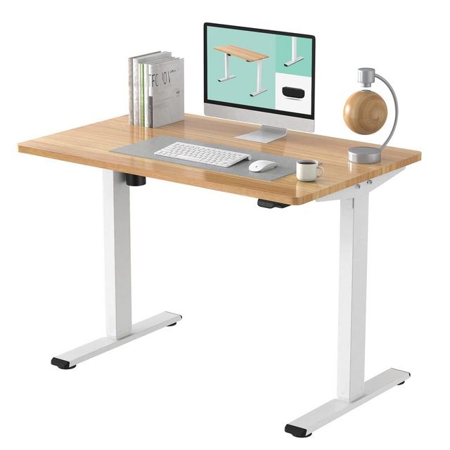 FLEXISPOT EC1 Essential Electric Adjustable Height Standing Desk Whole Piece 48 x 30 Inch Desktop Home Office Computer Workstation Sit Stand up Desk (White Frame + 48" Maple Top)