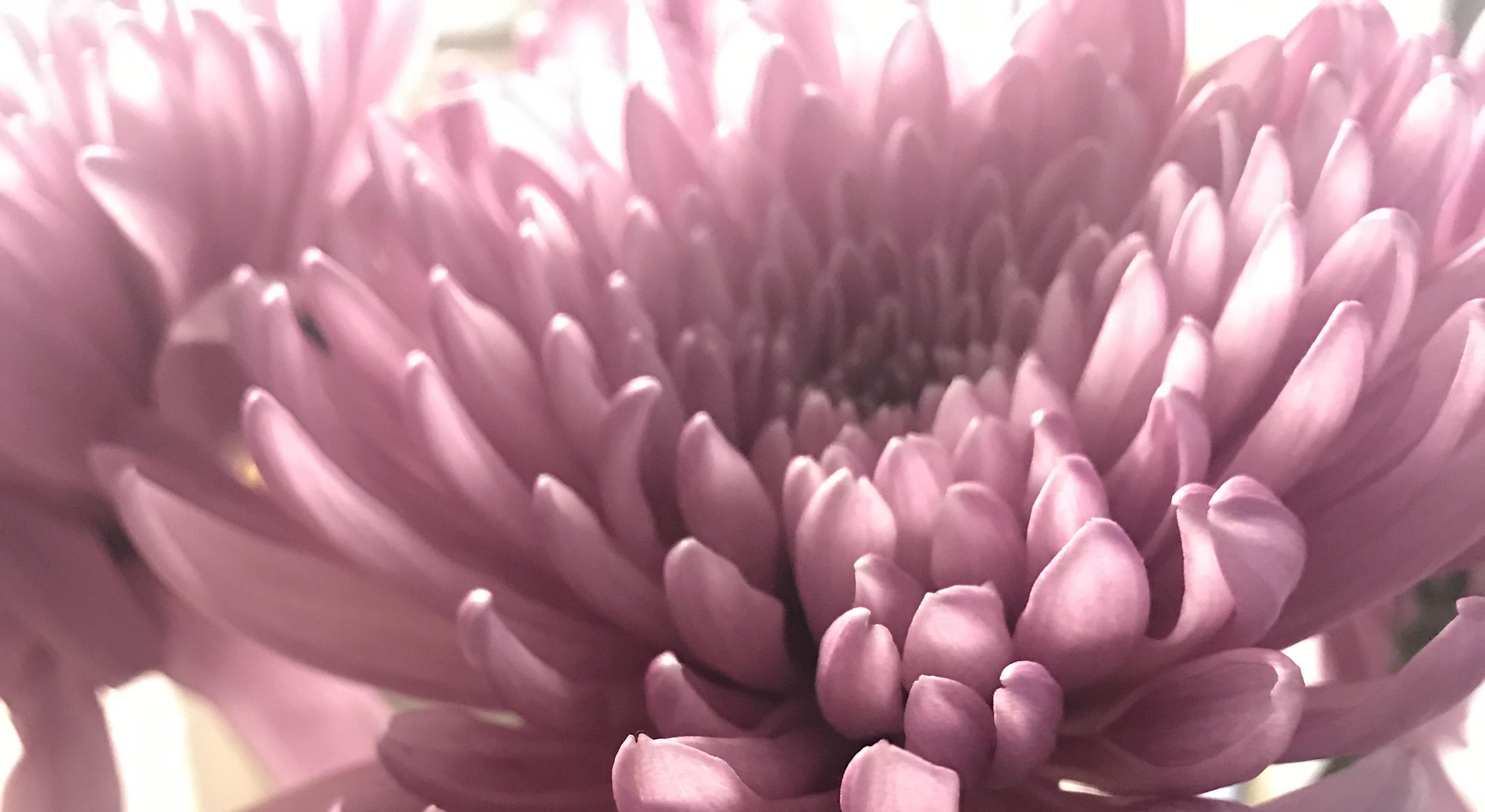 Footer image