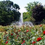 Columbus Park of Roses