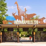 Indianapolis Zoo