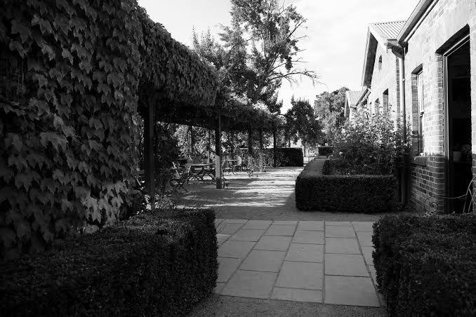 The Wedding Website of Donileen Naicker and Samuel Georgi