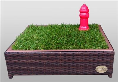 Small Porch Potty - The best grass dog potty on the market. Grass Litter Box. Small Porch Potty.