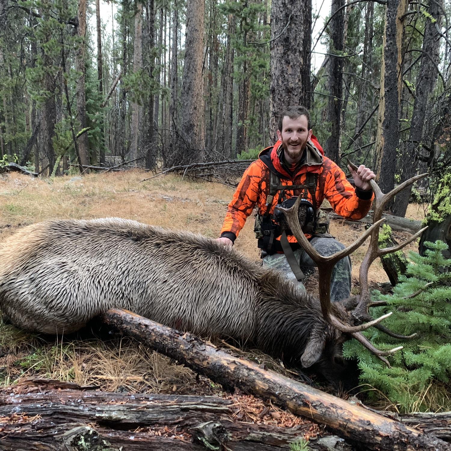 I got to be there to witness Riley get this elk. This is the first & only elk so far that I got to be there for. Later as a gift, he had earrings made for me out of this elk's ivories. October 2022