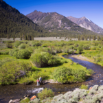 Fly Fishing