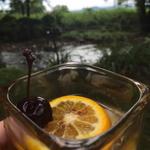 Copper Fox Distillery