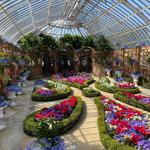 Phipps Conservatory and Botanical Gardens