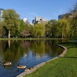 Boston Common and Public Garden