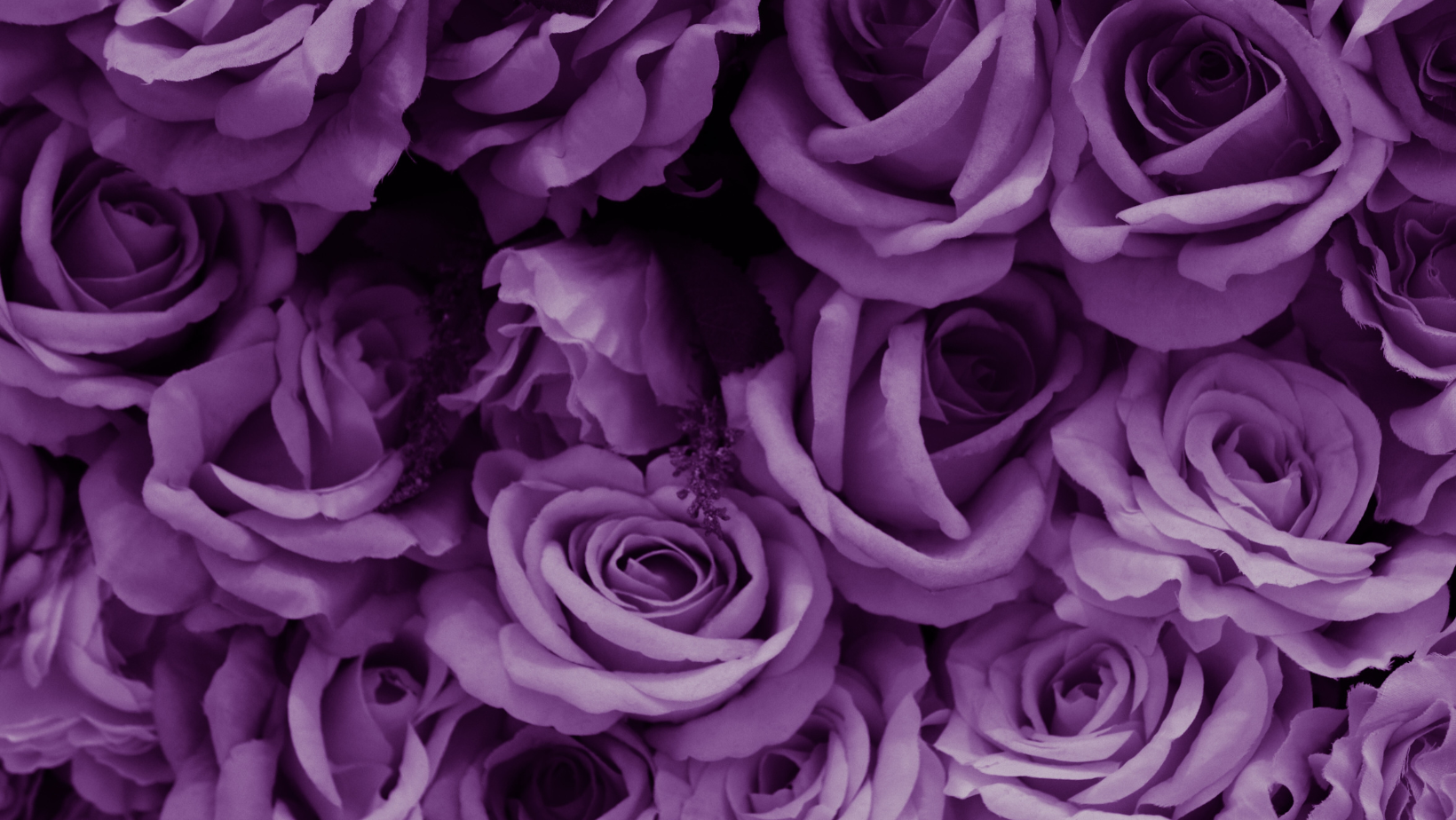The Wedding Website of Hattie King and John Hall