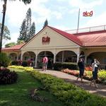 Dole Plantation