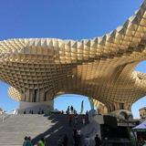 Setas de Sevilla