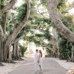 Banyan Street
