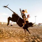 Teton Valley Rodeo