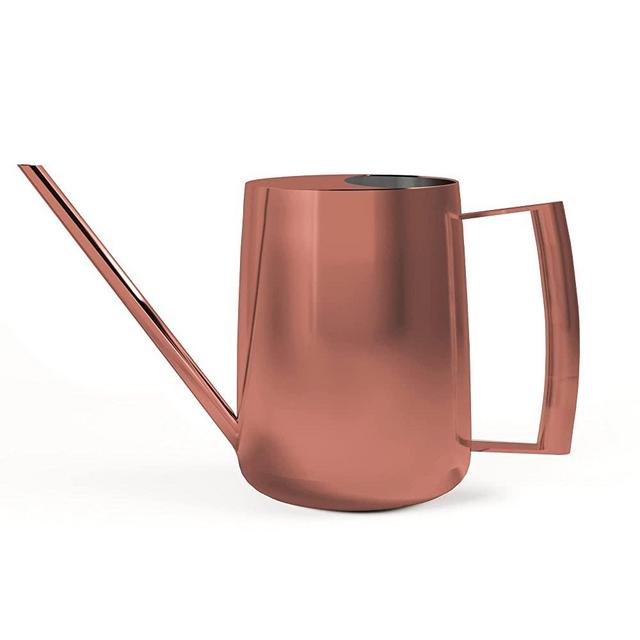 Indoor Watering Can with Long Spout - 35oz Copper Watering Can for Indoor Plants - Cute Watering Can Indoor - Small Watering Can for Indoor Plants - Indoor Plant Watering Can - Houseplant Watering Can