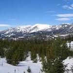 Bozeman