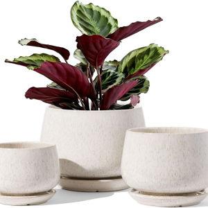 LE TAUCI Plant Pots, 4.1+5.1+6.5 inch, Set of 3, Ceramic Planters with Drainage Hole and Saucer, Indoor Flower Pot with Hole Mesh Pad, Gifts for Mom, Reactive Glaze Beige