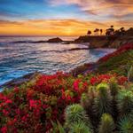 Laguna Beach