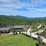 Roo Mountain Vineyards and Bistro - 21+ ONLY