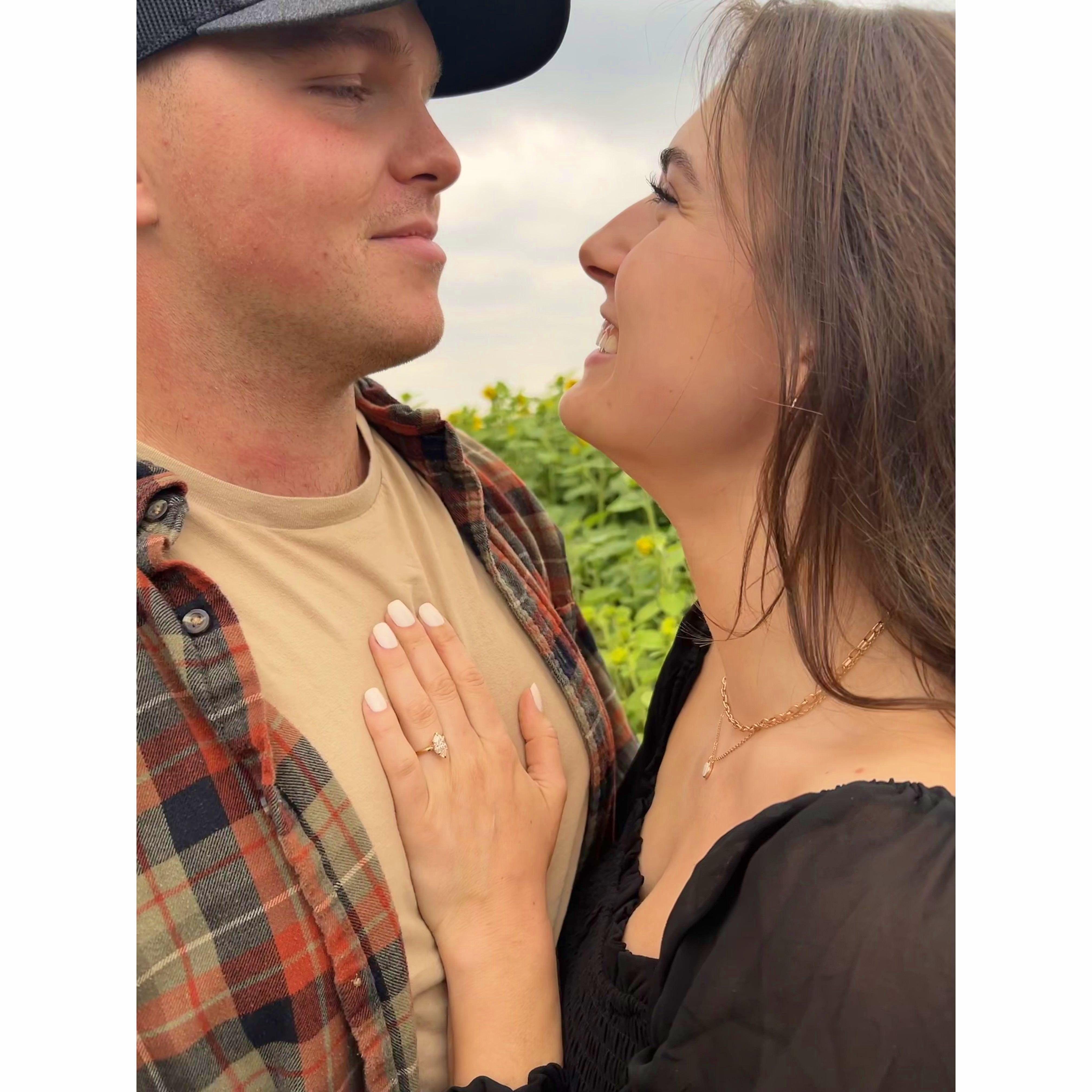 Our engagement in the sunflower field🌻

 Aug 20th, 2023