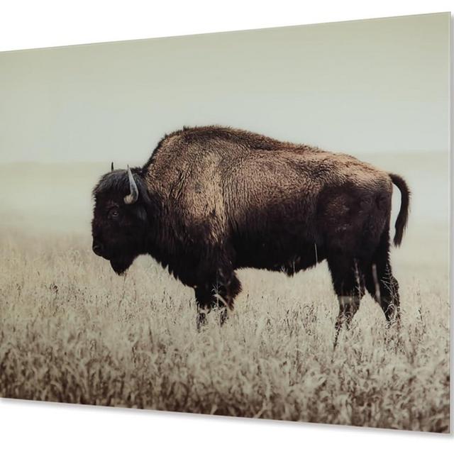Signature Design by Ashley Brutus Rustic Glass American Bison Canvas Wall Art, 48 x 36, Brown