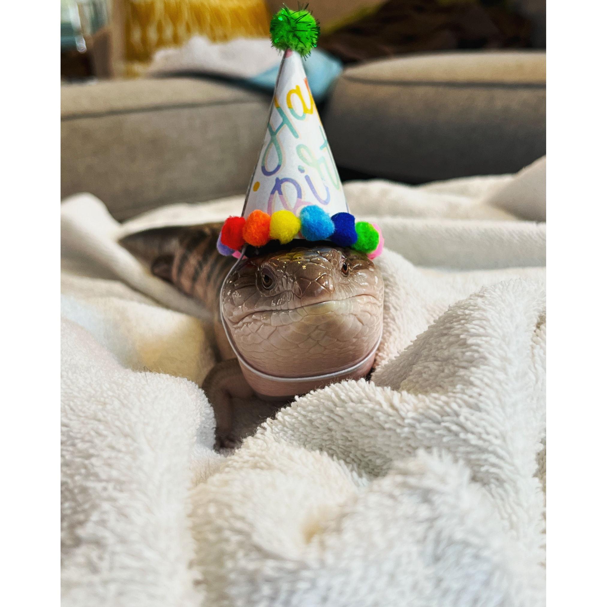Baby Bean's first birthday in 2023
