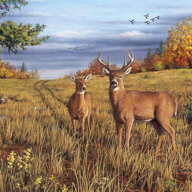 Buffalo Games - Robert Hautman - Fall Fauna - 1000 Piece Jigsaw Puzzle for Adults Challenging Puzzle Perfect for Game Nights - Finished Puzzle Size is 26.75 x 19.75
