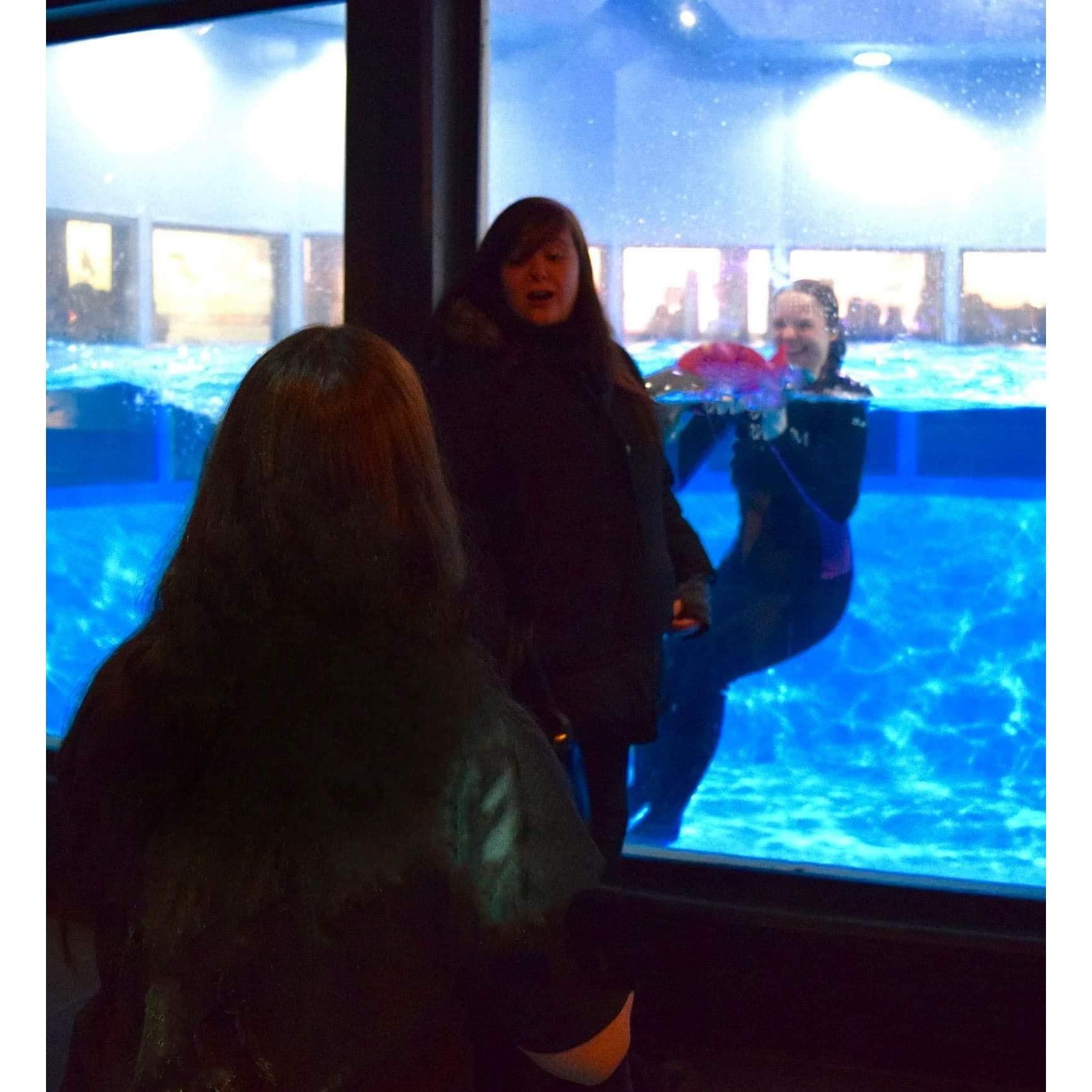 The Proposal š¤
ā”Location: Aquarium of Niagara
ā”Photographer: Melissa Rice, Aquarium of Niagara
