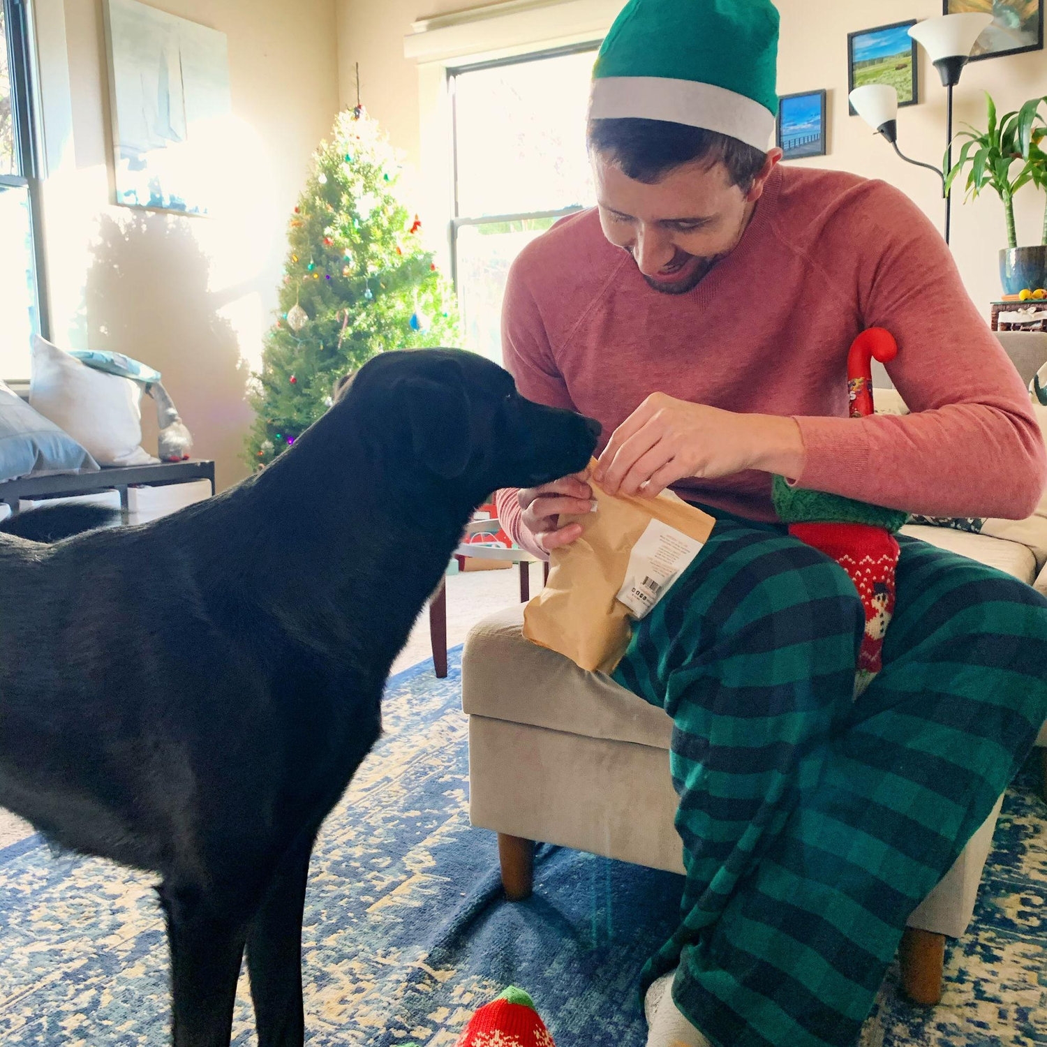 First Christmas as a fam