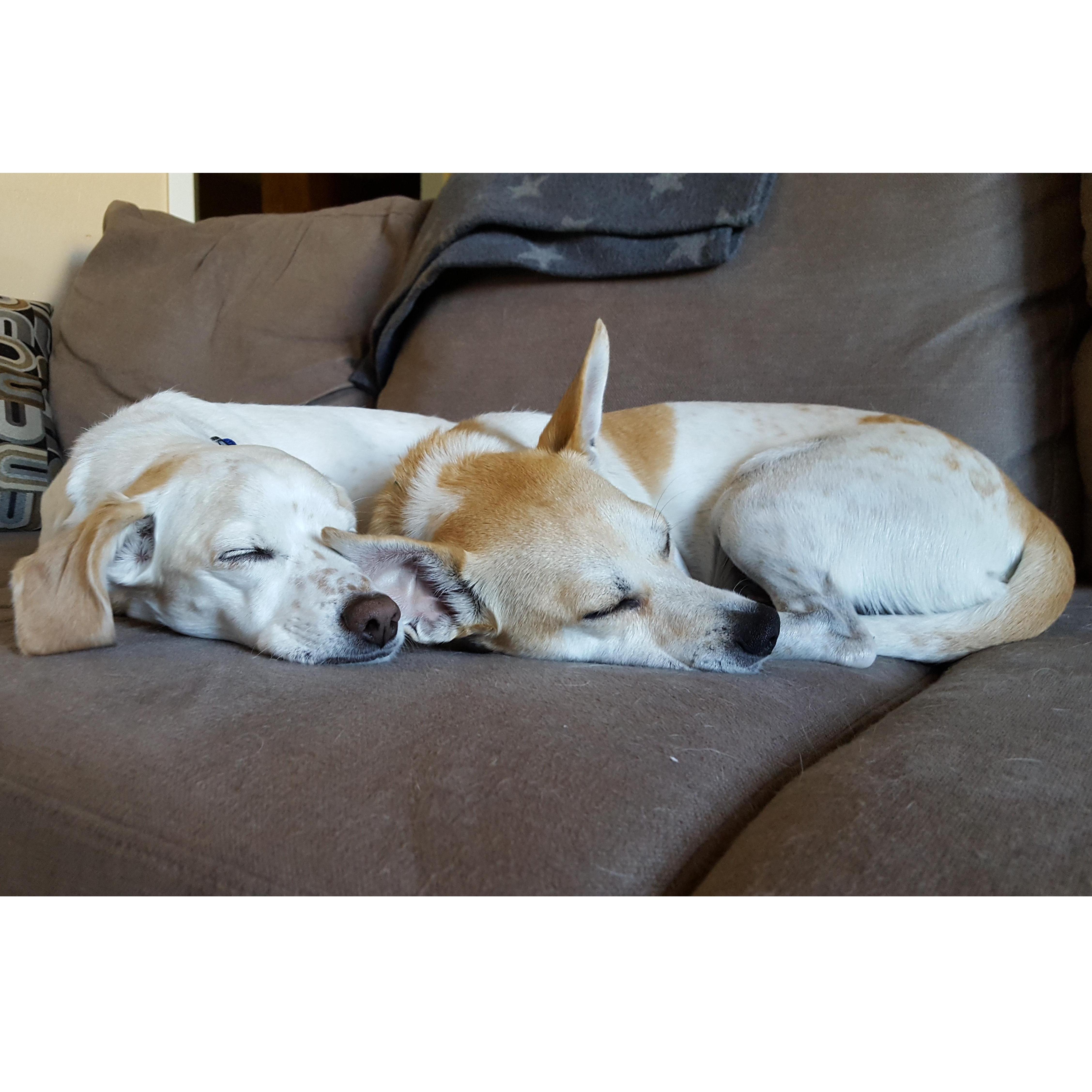 synchronized cuddles