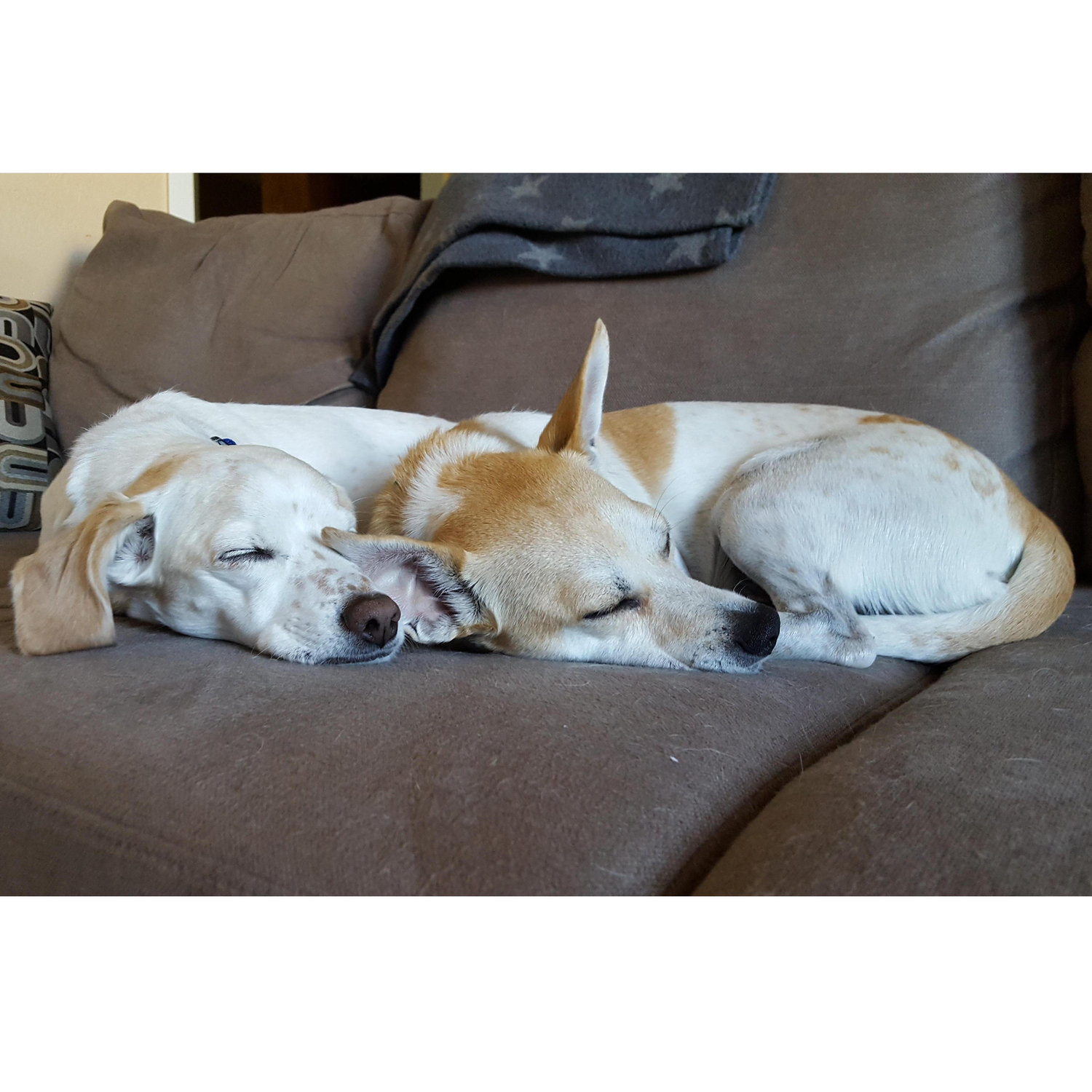 synchronized cuddles