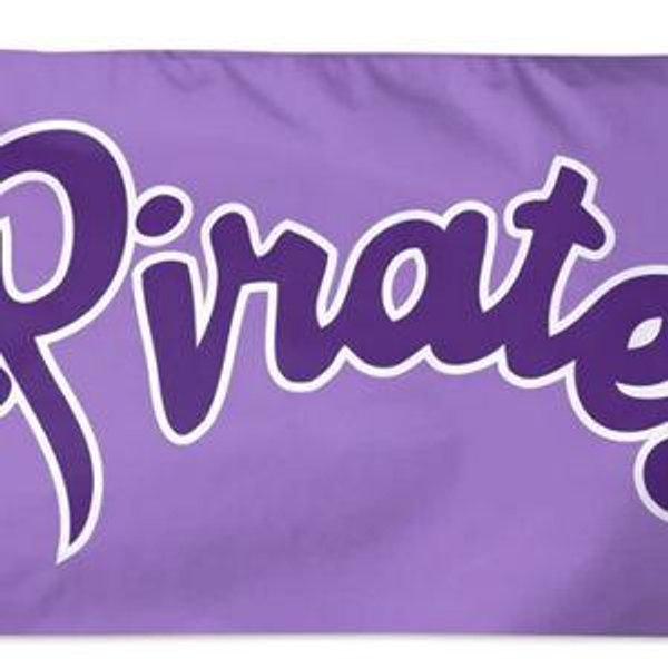 East Carolina Pirates Flag 3x5 Logo Powder Purple