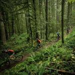 Mountain Biking, Cumberland