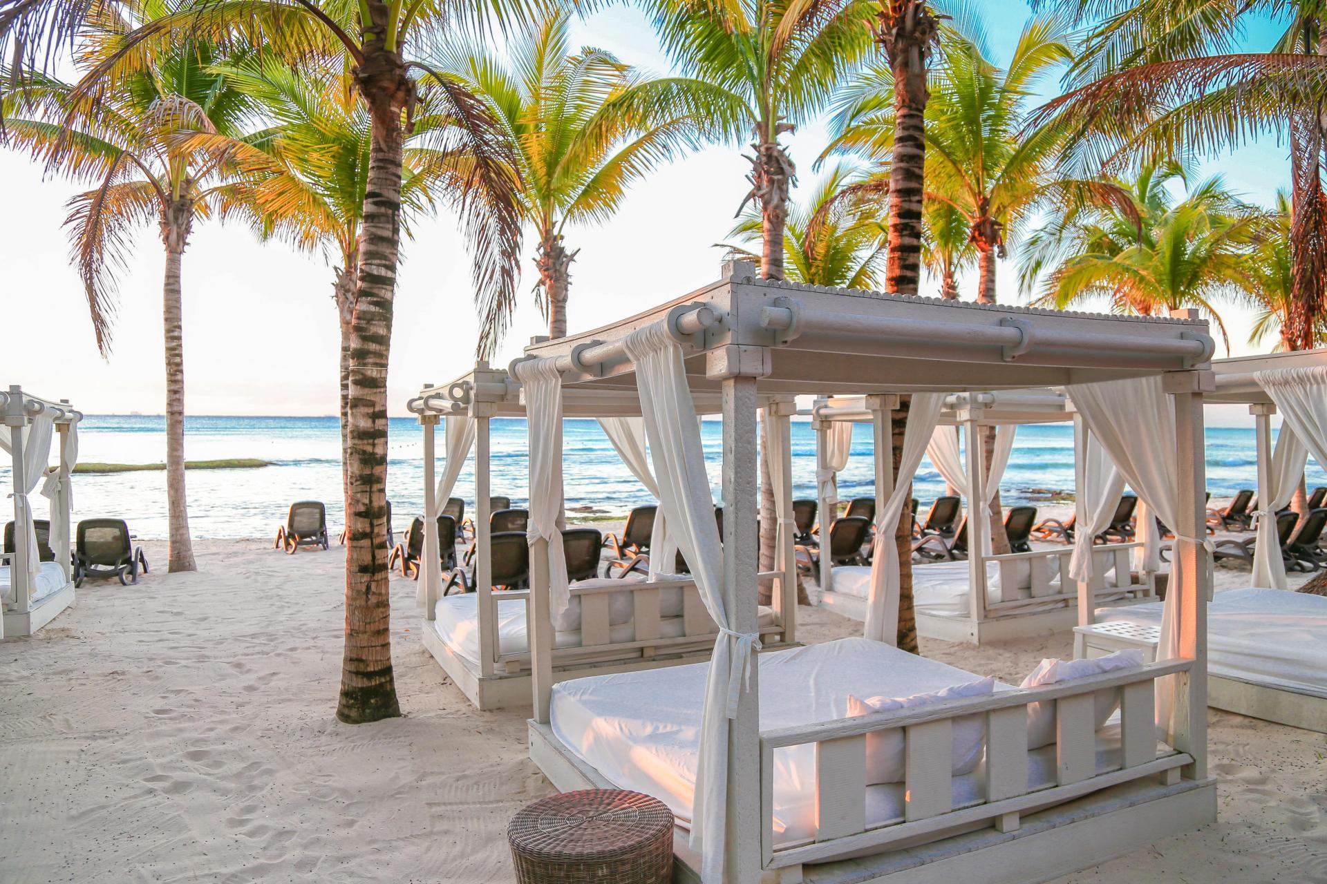 The Wedding Website of Marina Barron and Stephen Perakslis