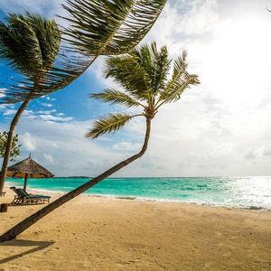 Maldives Honeymoon Fund
