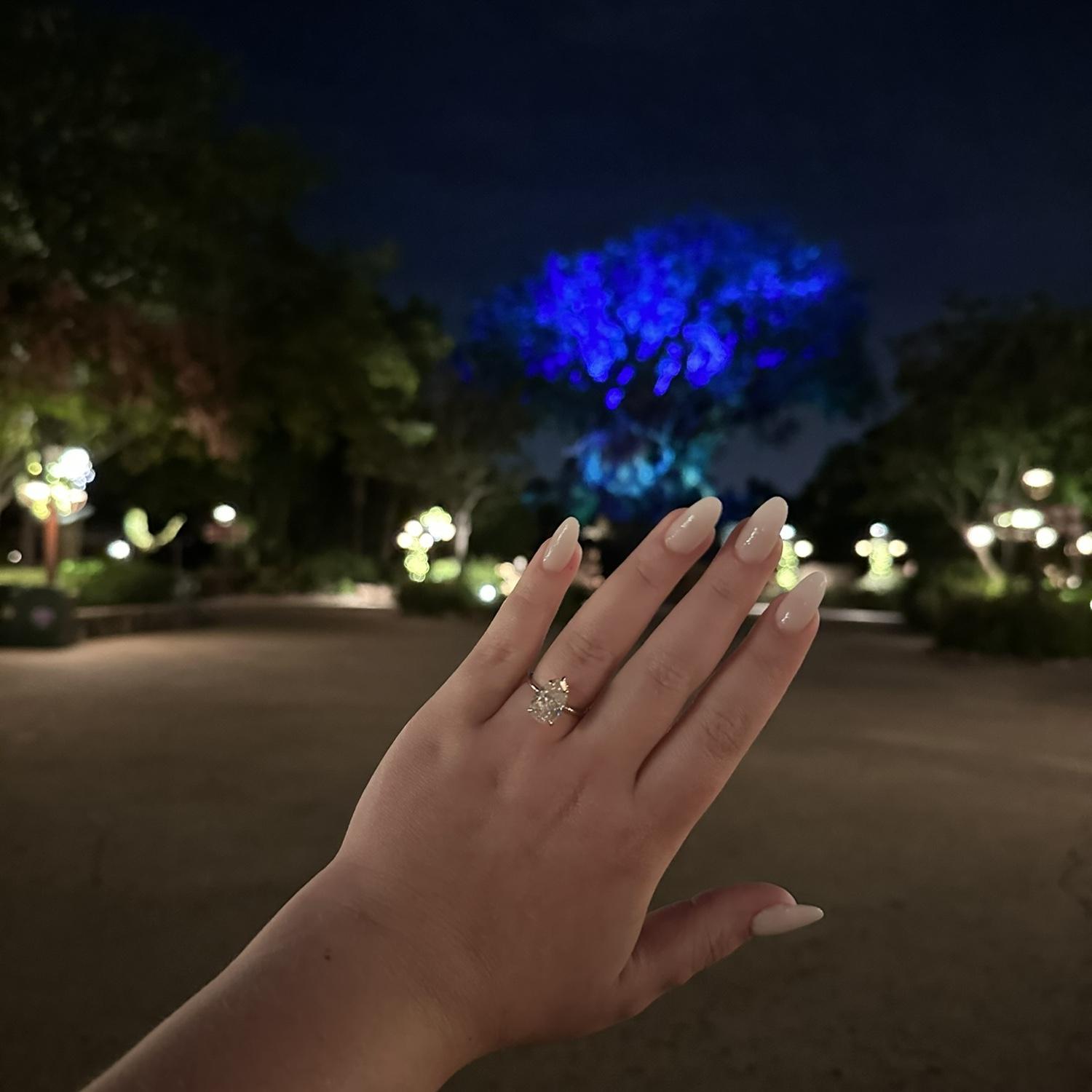 The night Cesar proposed with my dream ring in my favorite place 🤍