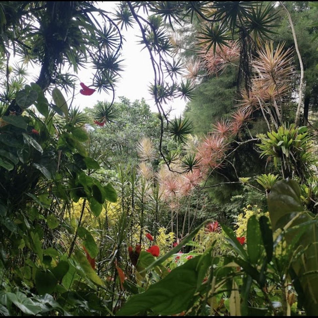 Botanical gardens