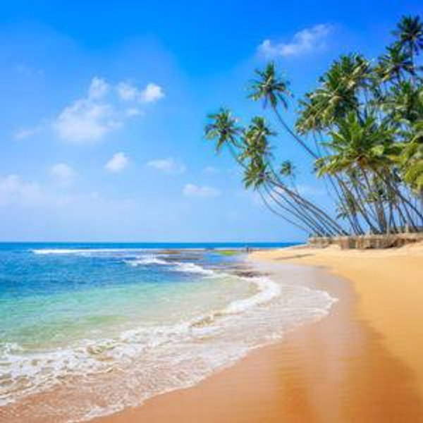 Honeymoon Fund Sri Lanka