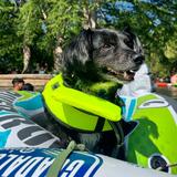 San Marcos river tubing