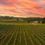 Arrington Vineyard