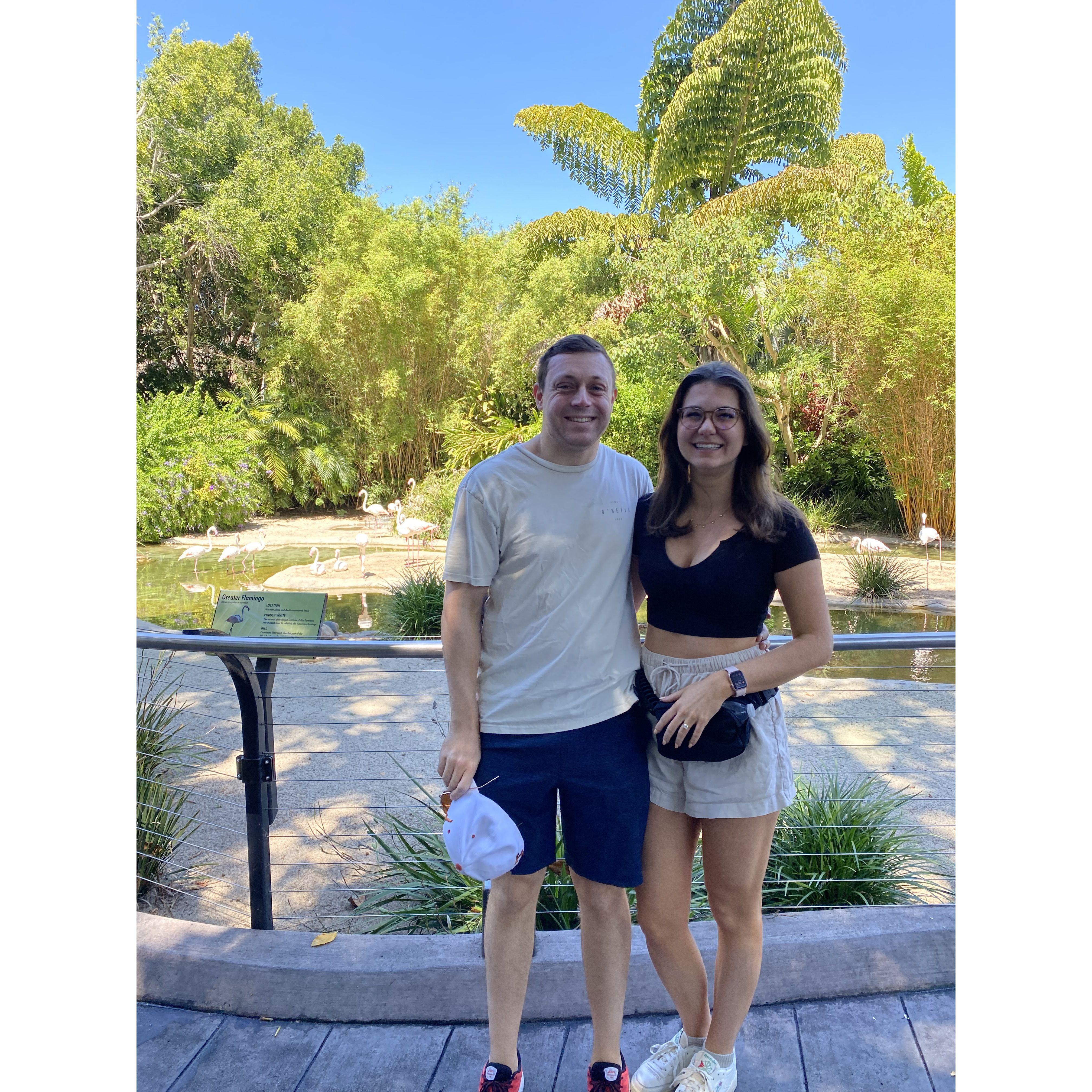 San Diego Zoo is the best zoo (sorry houston)