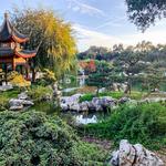 The Huntington Library, Art Museum, and Botanical Gardens